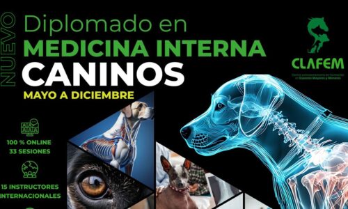 miniatura del curso