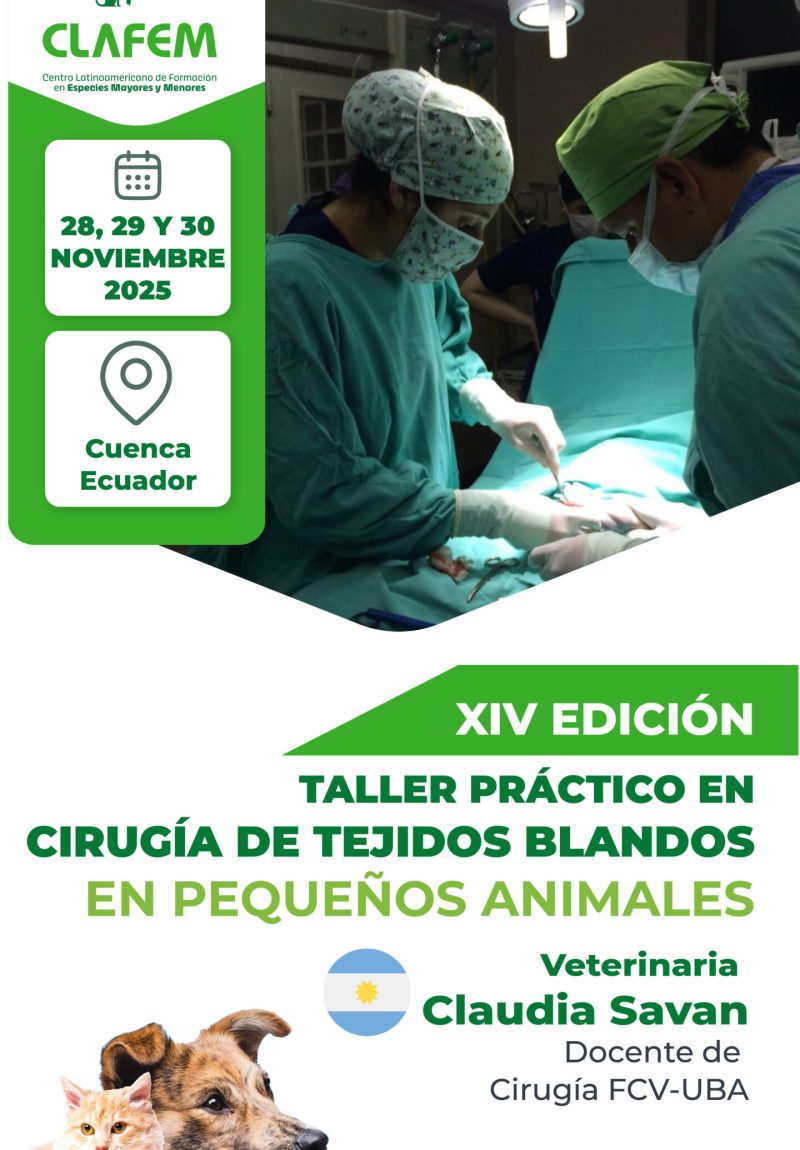 Cirugía de tejidos blandos en pequeños animales