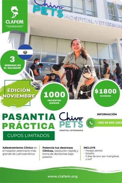 Pasantía Chivo Pets